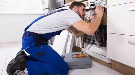 5c120e3535cb4.jpg 640.webp.jpg